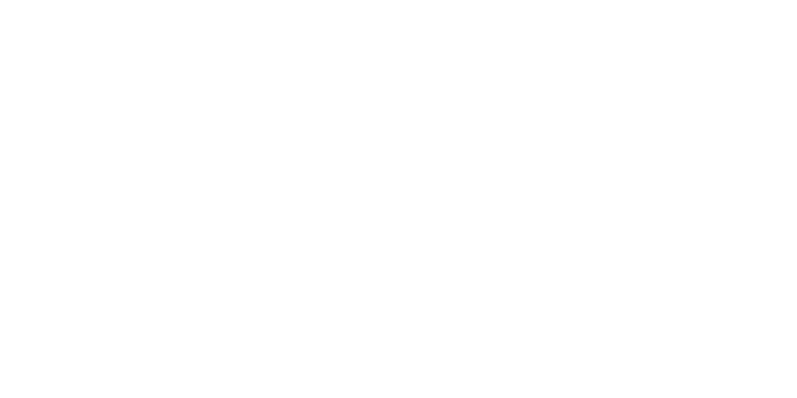 Cross Cultural Solutions Consulting